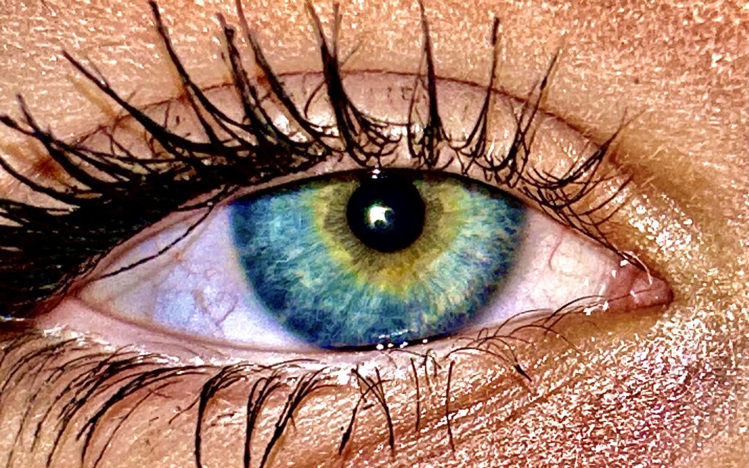 Max Aitken Academy Seeing Science